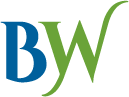BlueWing Ventures